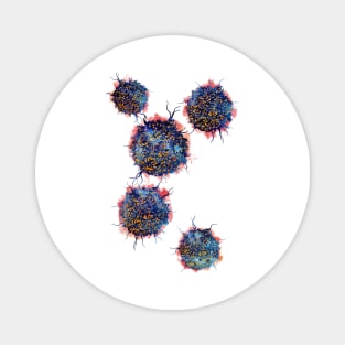 T cells Magnet